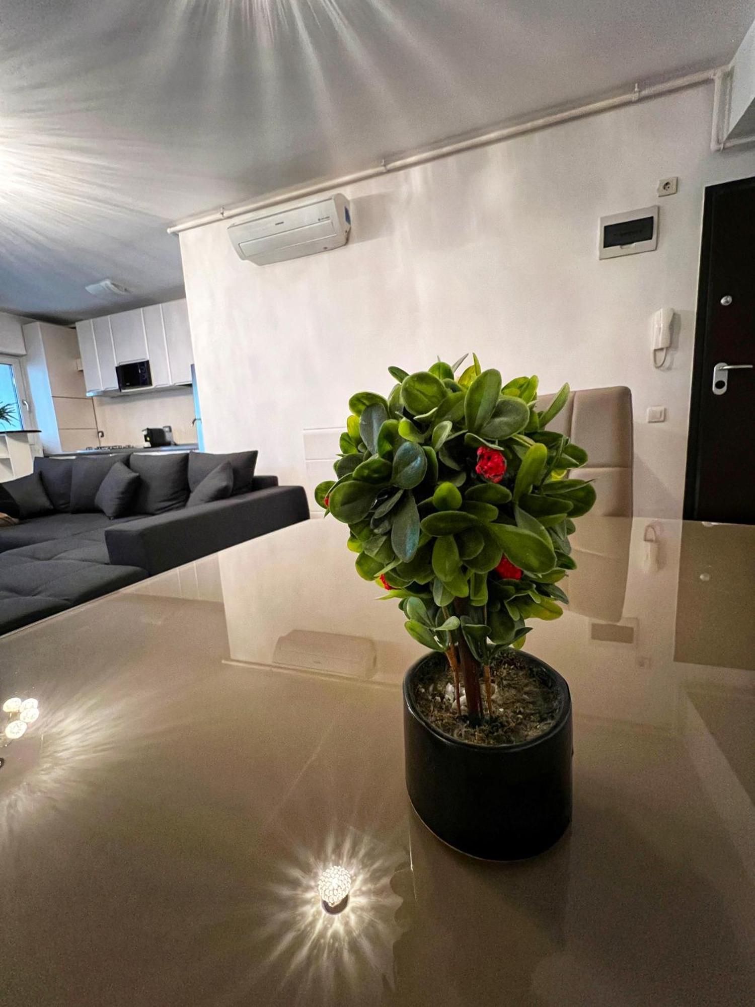 Premium Park Residences 5 Bucarest Extérieur photo